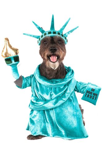 Statue of Liberty Pet Costume