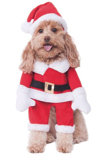 Walking Santa Pet Costume