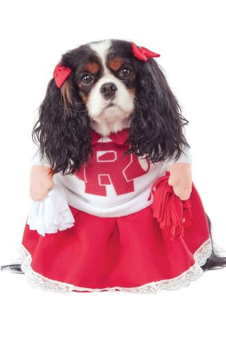 Rydell High Cheerleader Pet Costume
