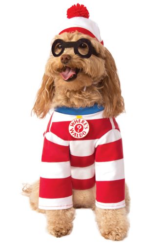 Where's Waldo Pet Costume