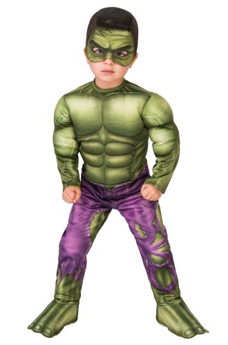 Superhero Adventures Deluxe Hulk Toddler Costume