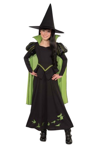 The Wizard of Oz Wicked Witch of the West Child Costume