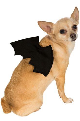 Bat Wings Pet Accessory