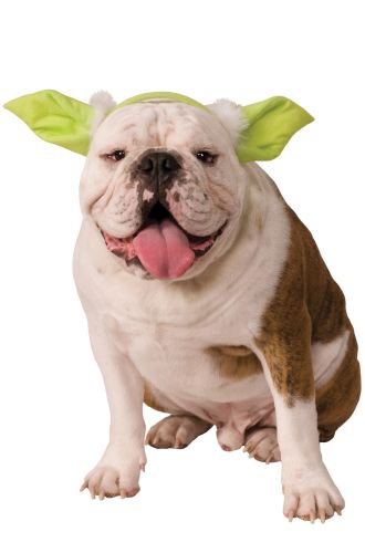 Dog Yoda Ear Headwear