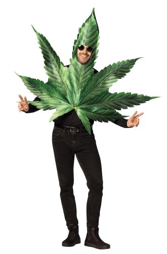 Pot Leaf Adult Costume