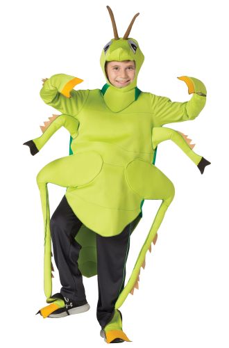 Grasshopper Child Costume