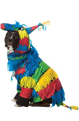Pinata Dog Costume