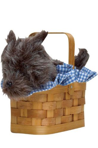 Doggie Basket