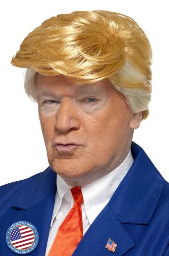 President Adult Wig