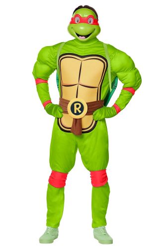 Raphael Adult Costume
