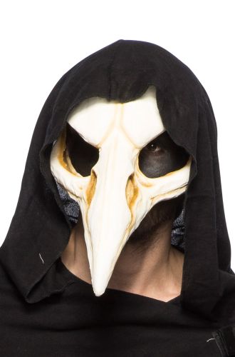 Bird Mask