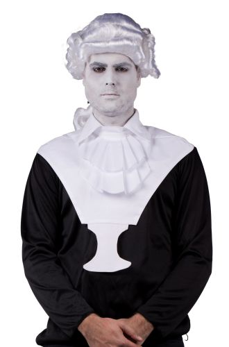 Bust Head Adult Costume